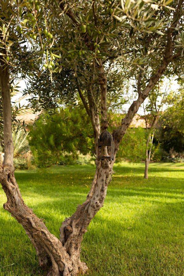 Domaine Des Remparts Hotel & Spa Marrakesh Exterior photo